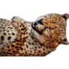 Кошачьи 3 9