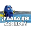 Dory olvidadiza 21