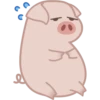 Grumpig 11