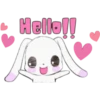 Cute Rabbit 13