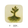 Flora peruana 6
