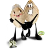 Nuts stickers by otana Foods 15