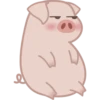 Grumpig 12