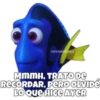 Dory olvidadiza 24