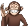 Crazy monkey 1 13