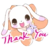 Cute Rabbit 14