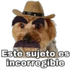 Perrito con sombrero 7
