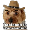 Perrito con sombrero 8
