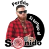 Perdon si tengo el sonido 14