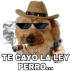 Perrito con sombrero 9