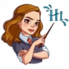 HarryPotter 16