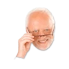 Hide The Pain Harold 9