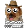 Perrito con sombrero 11