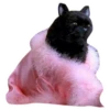 Salem Saberhagen (Sabrina the Teenage Witch) 15