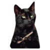Salem Saberhagen (Sabrina the Teenage Witch) 19