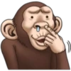 Crazy monkey 1 14
