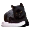 Salem Saberhagen (Sabrina the Teenage Witch) 20