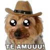 Perrito con sombrero 12