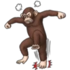 Crazy monkey 1 16