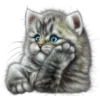 Cute Cats 2 19