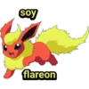 Pokémon soy 23