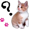 ရ
"
✿