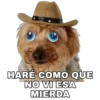 Perrito con sombrero 13