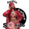 Perdon si tengo el sonido 16