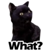 Salem Saberhagen (Sabrina the Teenage Witch) 22