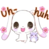 Cute Rabbit 20