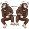 Crazy monkey 1 17