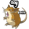 Pokémon soy 24