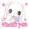 Cute Rabbit 21