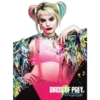 Birds Of Prey - Harley Quinn 24