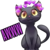AWWW