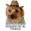 Perrito con sombrero 15