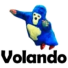 Volando