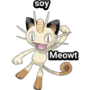 Pokémon soy 26
