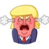 Trump 15