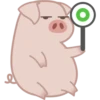 Grumpig 22