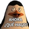 AHORA
¿QUÉ HAGO?
