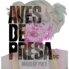 Birds Of Prey - Harley Quinn 26