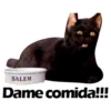 Salem Saberhagen (Sabrina the Teenage Witch) 26
