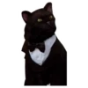 Salem Saberhagen (Sabrina the Teenage Witch) 27