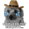 Perrito con sombrero 16