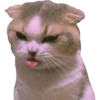 Cute Cats 2 30