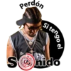 Perdon si tengo el sonido 22