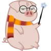 Grumpig 27