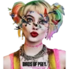 Birds Of Prey - Harley Quinn 30