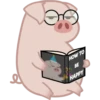 Grumpig 28